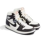 Nike Air Jordan 1 Retro High OG Light Madder Root Womens FD2596 200